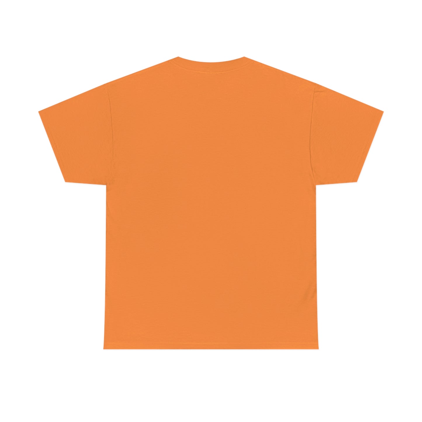Every Child Matters Indigenous T-Shirt Native American Hummingbird and Flower Orange Shirt Day